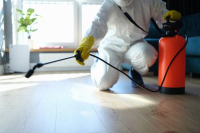 Insect Control Service in Arlington, TX